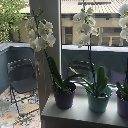 Dragon Bridge Beauty Ljubljana